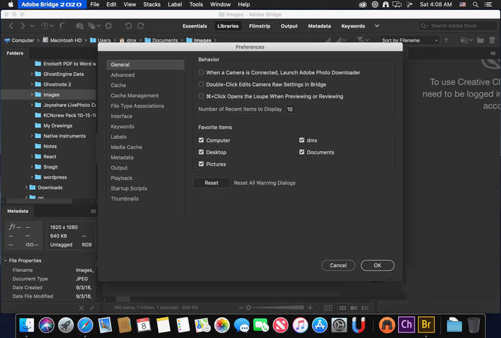 Adobe Bridge 2020 v10 for Mac Dmg Download