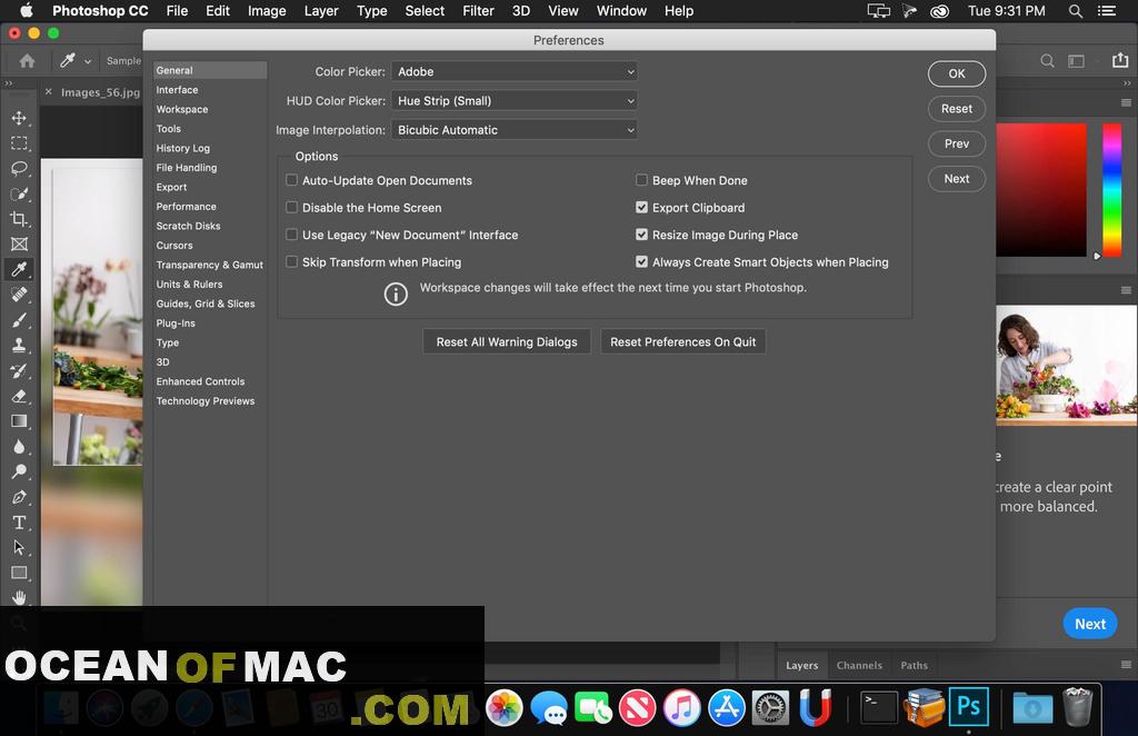 Adobe Photoshop CC 2019 for Mac Dmg Free Download