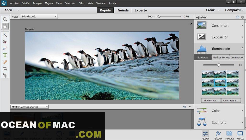 Adobe Photoshop Elements 2018 for Mac Dmg Free Download