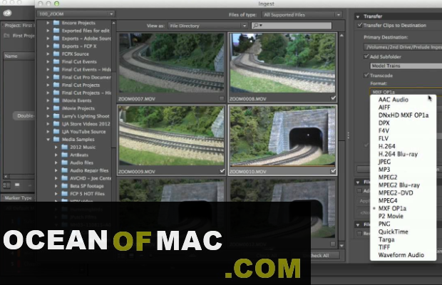 Adobe Prelude 2021 for Mac Dmg Free Download