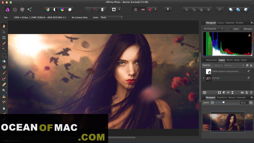 Affinity Photo 1.10.1 for Mac Dmg Download Free