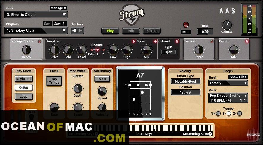 Applied Acoustics Systems Strum GS Full Version Download