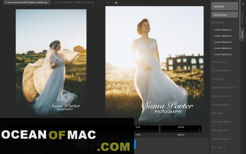 CameraBag Photo 2020 for Mac Dmg Free Download
