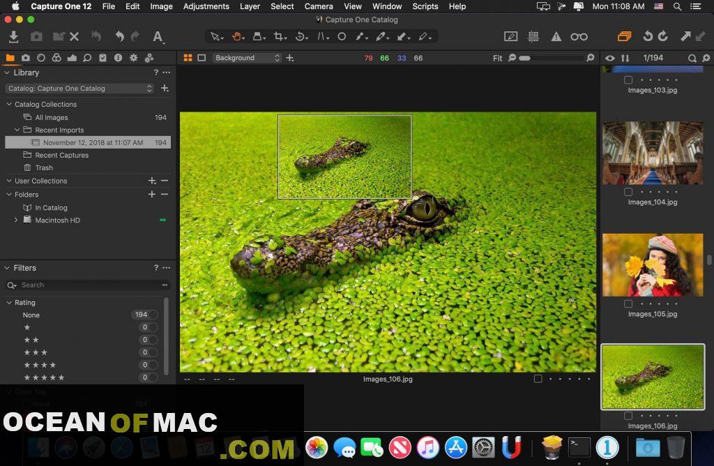 Capture One Pro 12.0 Free Download