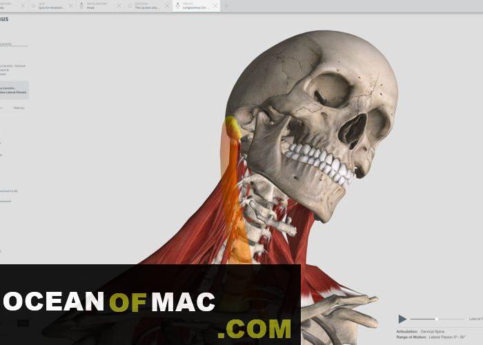 Complete Anatomy 2019 for Mac Dmg Free Download