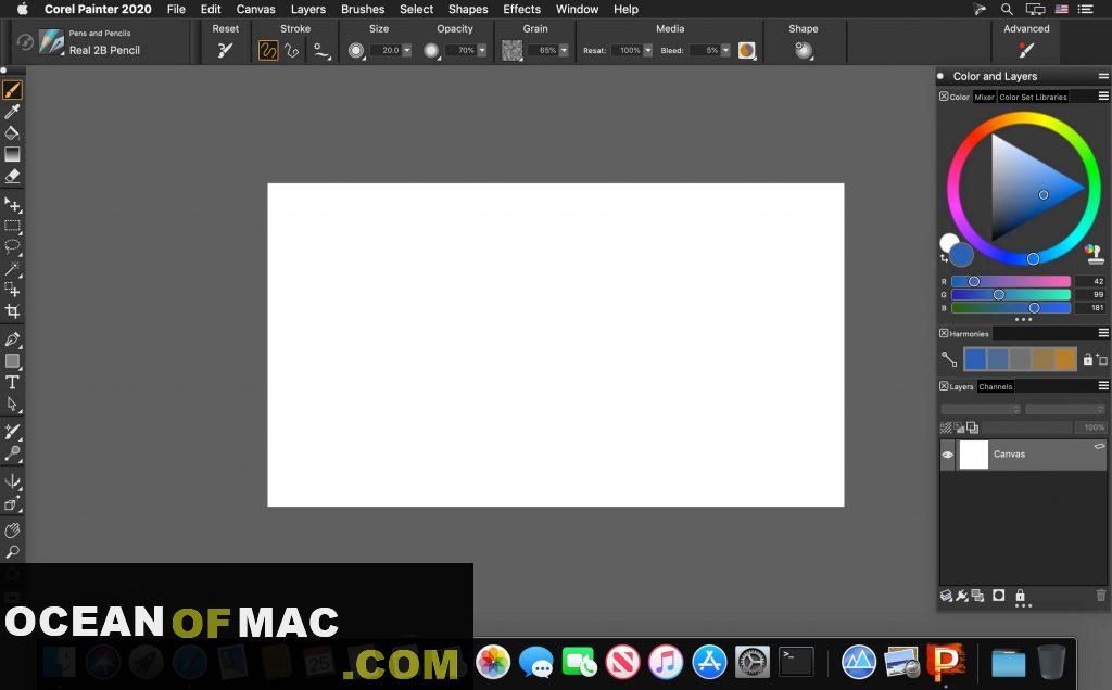 Corel Painter 2020 v20.0 for Mac Dmg DMG Setup