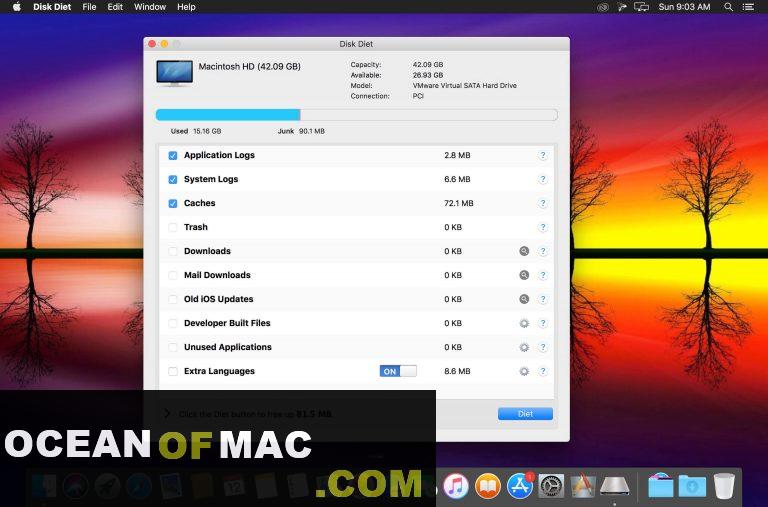Disk Diet 5 for Mac Dmg Free Download