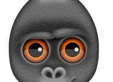 Debookee 8 for Mac Dmg Free Download 1 Download Debookee 8 for Mac