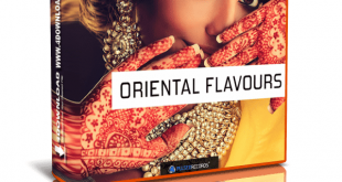 Download Pulsed Records Oriental Flavours