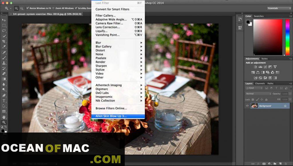 Exposure Software Blow Up 3 for Mac Dmg Free Download