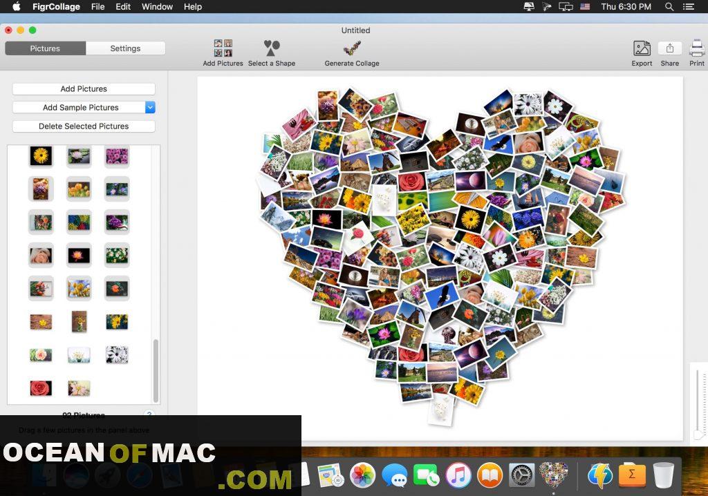 FigrCollage 3 for Mac Dmg Free Download