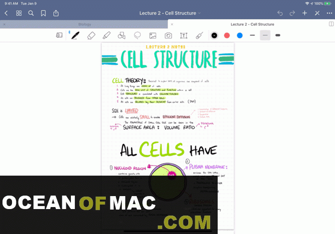 GoodNotes 5.7 for Mac Dmg Free Download