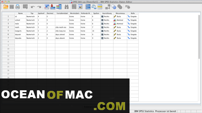 IBM SPSS Statistics 26.0 for Mac Dmg Free Download