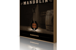 Indiginus The Fiddle KONTAKT Library Free Download