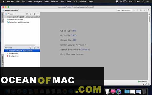 JetBrains GoLand 2021 for Mac Dmg DMG Download