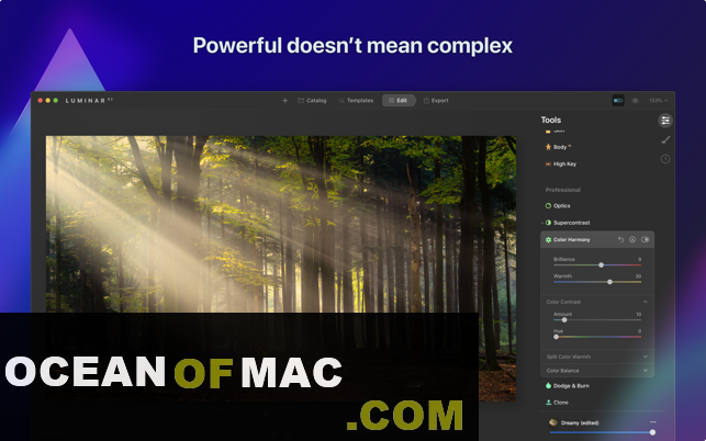 Luminar AI 1.4.1 for macOS Big Sur Free Download
