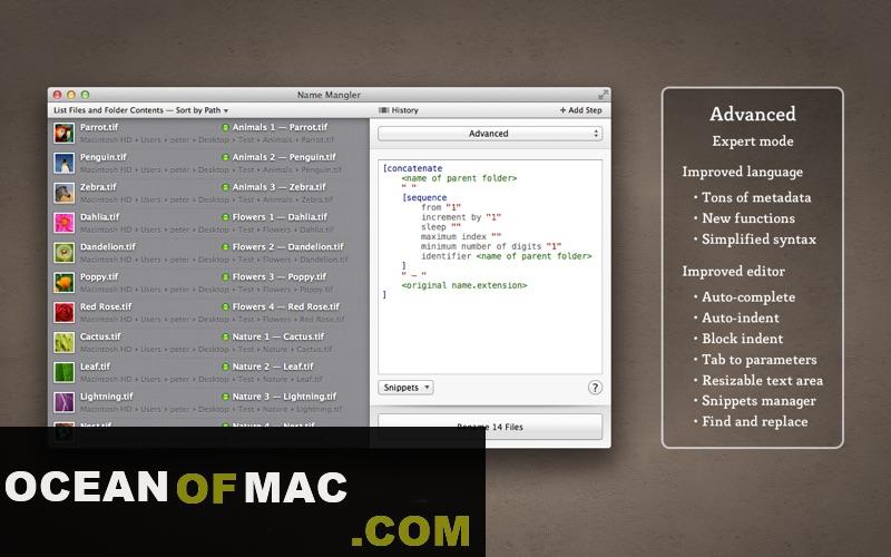 Name Mangler 3 for macOS Free Download
