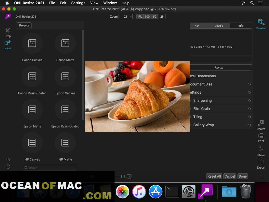ON1 Resize 2021 for Mac Dmg Full Version Download