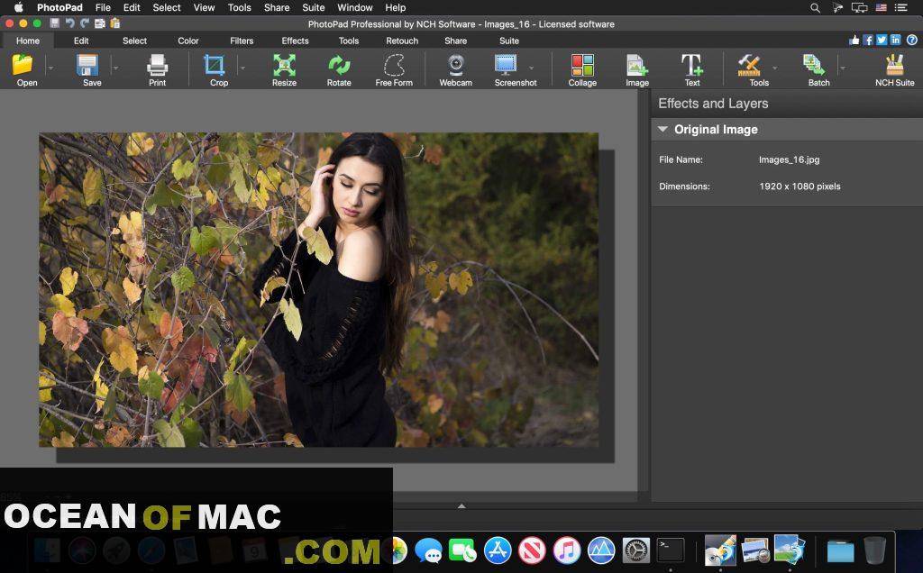 PhotoPad Professional 7.61 Free Download