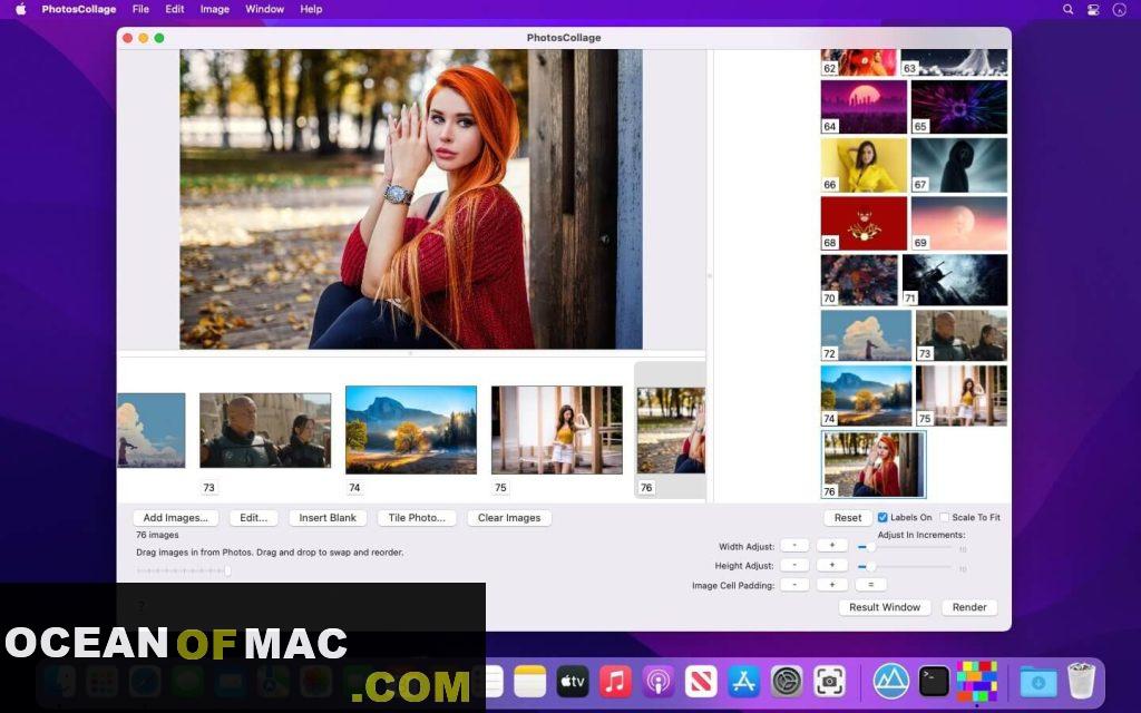 PhotosCollage 2022 for Mac Dmg Free Download