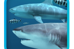 Sharks 3D 2 Free Download