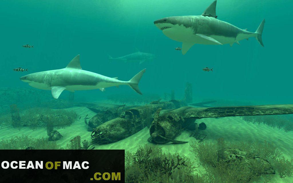 Sharks 3D Free Download
