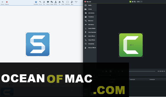 TechSmith Snagit 2019 for Mac Dmg Free Download