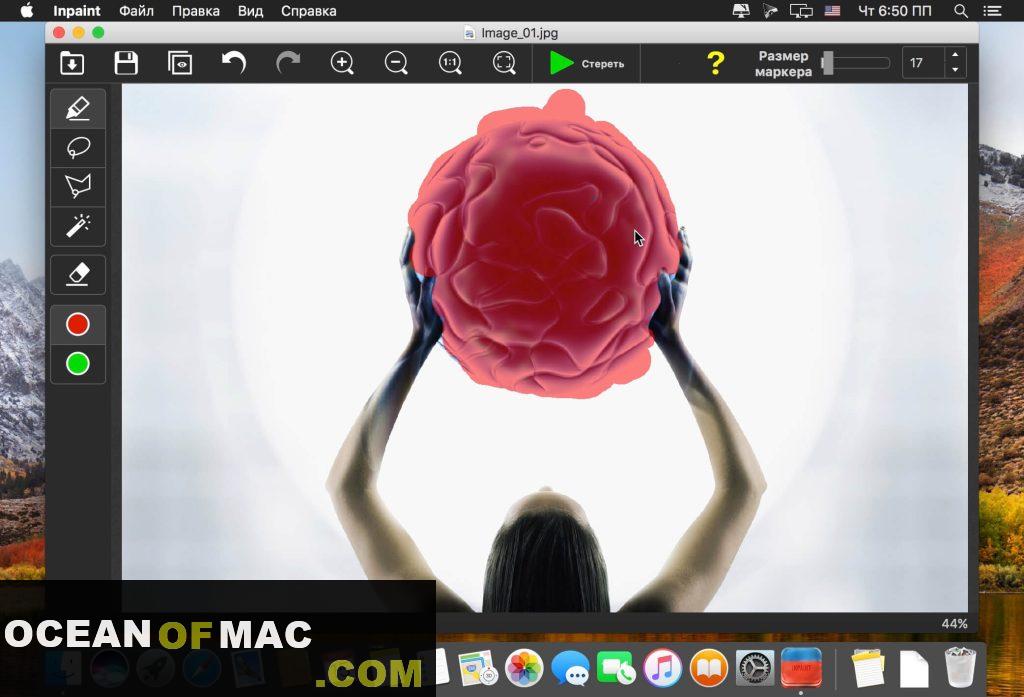 Teorex Inpaint for Mac Dmg Free Downlod