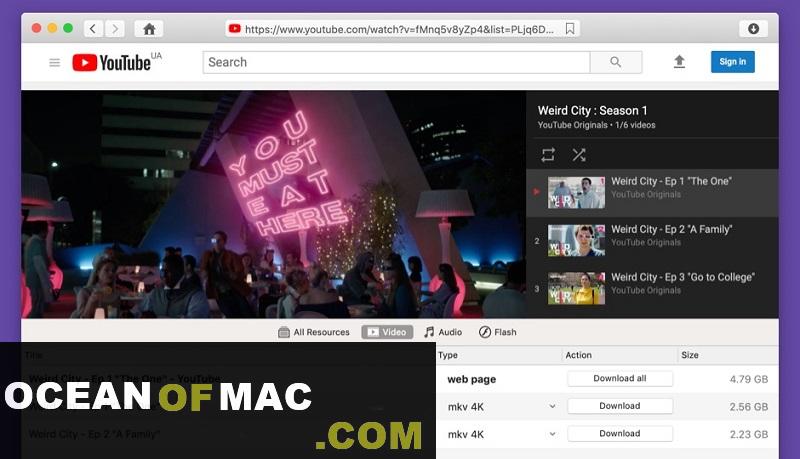 VideoDuke 1.16 for macOS Big Sur