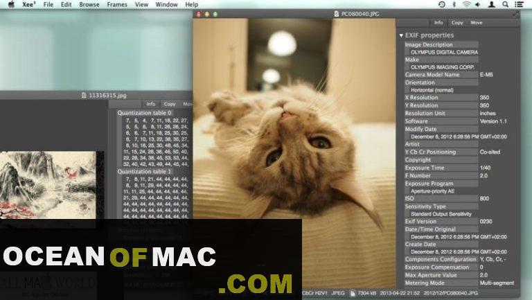 Xee 3 for Mac Dmg Free Download