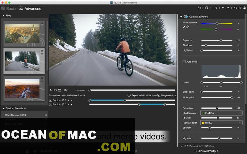 liquivid Video Improve 2.6 for Mac Dmg Free Download