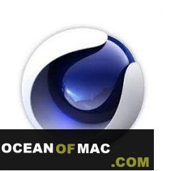 MAXON Cinema 4D Studio R25.010 for Mac Dmg Download 6 Cinema 4D Studio R25 Free Download